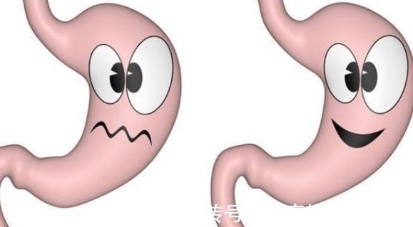 养胃|胃有“四怕”,养胃牢记“饭后半小时”,送你一句养胃口诀