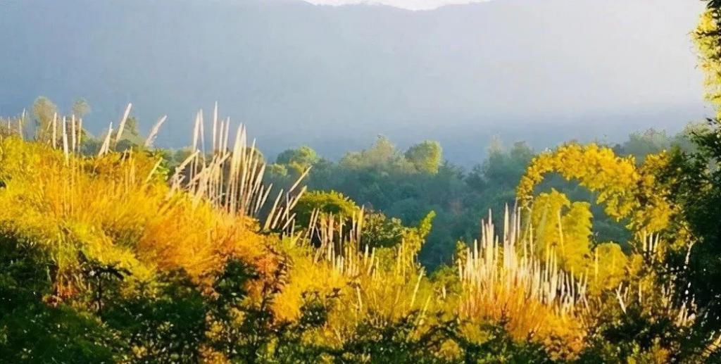 山峰|山态林姿，举手投足间，风情万种，这座山峰诉说着不灭的神话故事