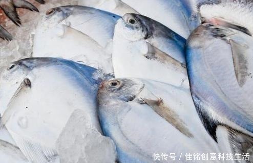 去菜市场买鱼,专挑这4种,好吃还便宜,鱼店老板都夸你懂行