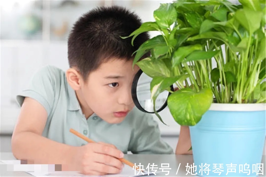 规矩|狠心给孩子立好“3个规矩”,孩子的学习成绩,再不用父母操心了