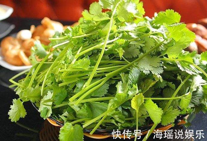 香菜煮水,连续喝上3天,竟有神奇的功效,太好用了