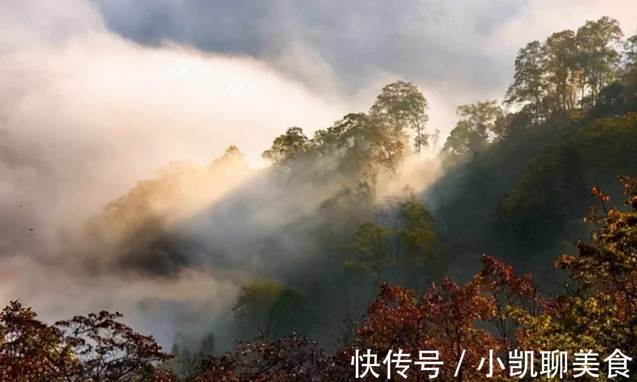 彩林|平武有座山红透了！山上这条云端上的彩林公路秋色如画