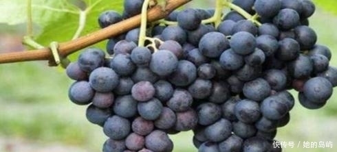 女性不想黄脸婆,推荐4种食物,排毒养颜,祛皱润肤,延缓衰老