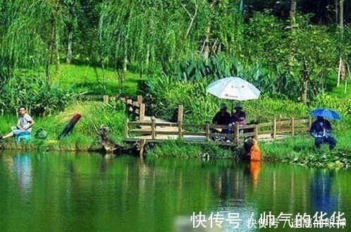 春天来了,大鲫鱼喜欢藏在这些位置,这些地方下竿一钓一个准!