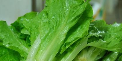 电冰箱|冰箱里还在放这5种食物吗？快看你家有没有，有就要“废掉”了！