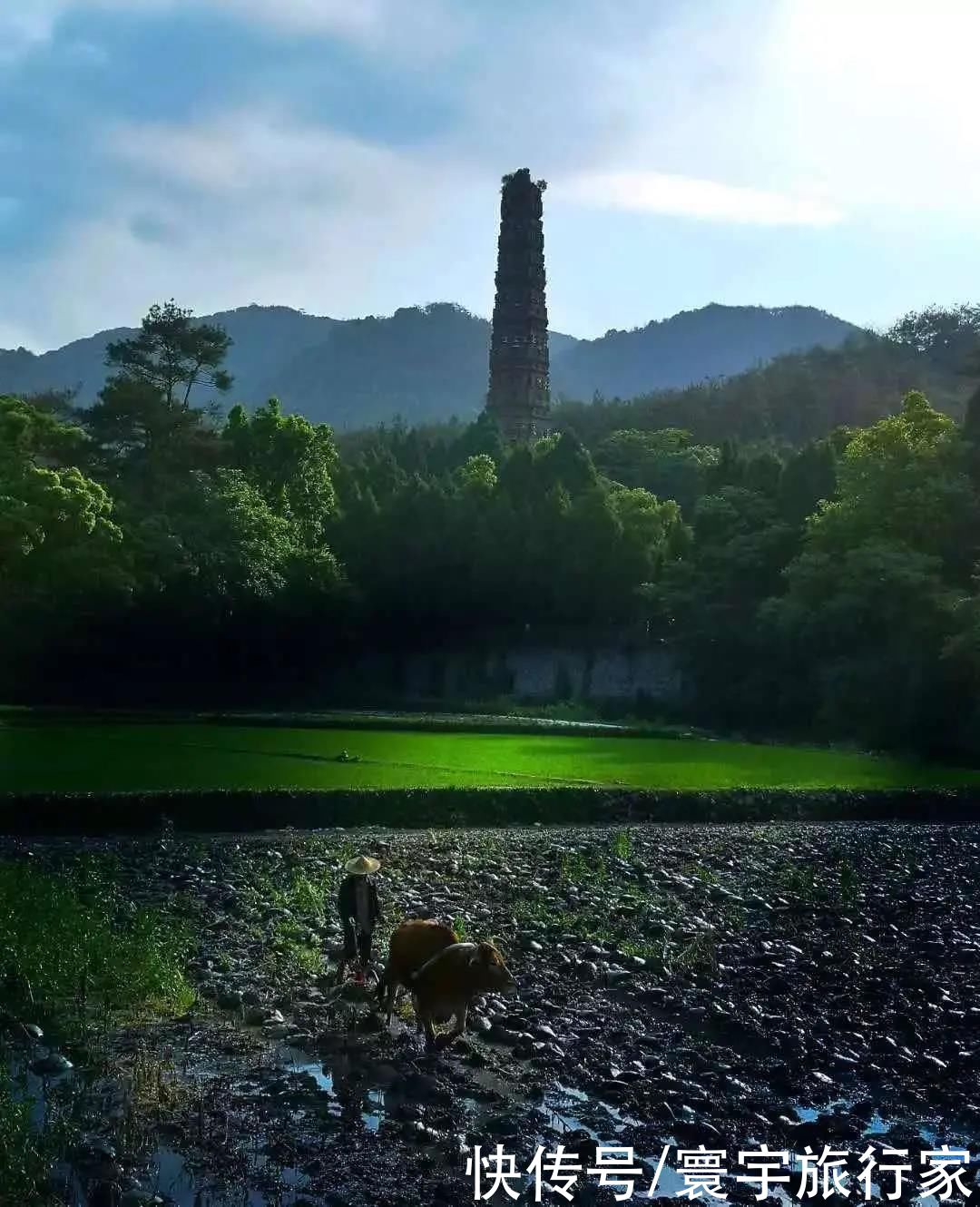 自然|一个60万人的小城天台，集齐了一亿年来人文自然的百般宠爱