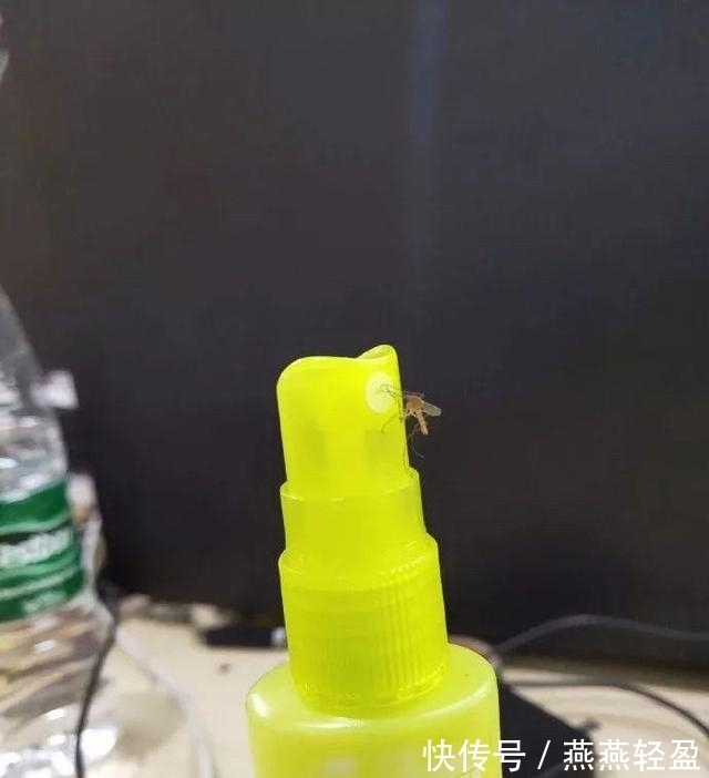 |搞笑:我小区有个男的,在小区的防疫群里,+每个女的,然后..