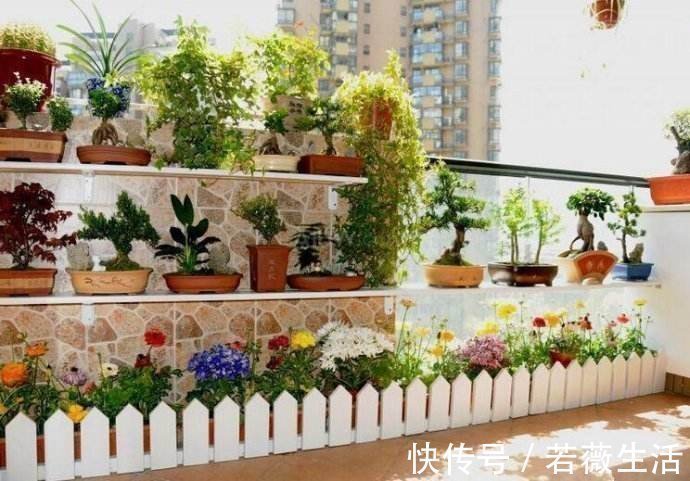 太阳能|老婆无意间发现一户人家阳台,太高级了,先拍照等有了房照着装