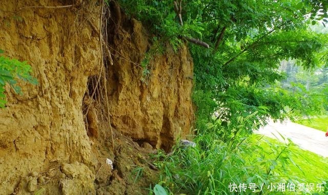 老年|游览历史上曾经为常山郡郡城的正定古城墙