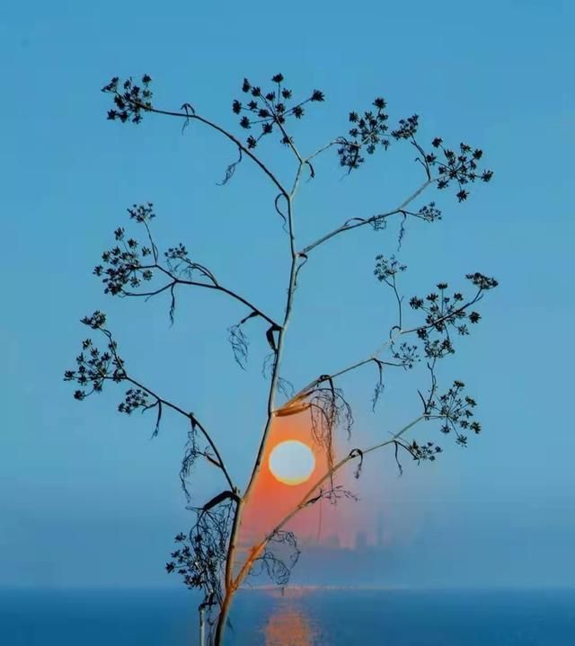 声色@当你对生活失望时,不妨多读读10句话