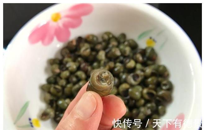 螺蛳|江南人最爱的下酒菜,四月吃它最肥美,5元吃一顿,百吃不厌!
