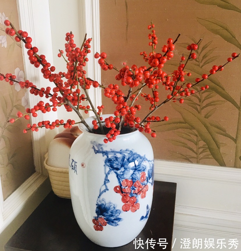 8种“中国红”年宵花,养在家里添喜气,红红火火好运来