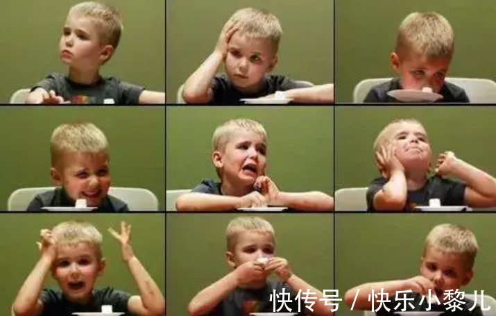 谷歌|40年前,“棉花糖实验”里最能忍的那个女孩,现已成了谷歌之母