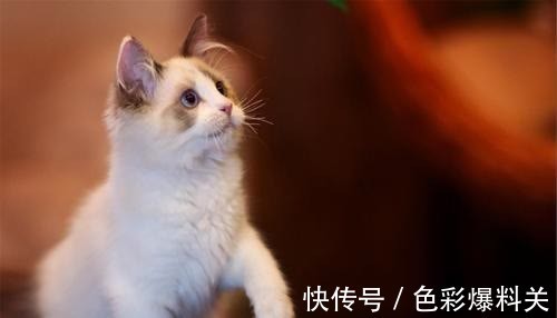 |幽默笑话:前两天上英语课,临时有事,找了个很年轻的老师来代课