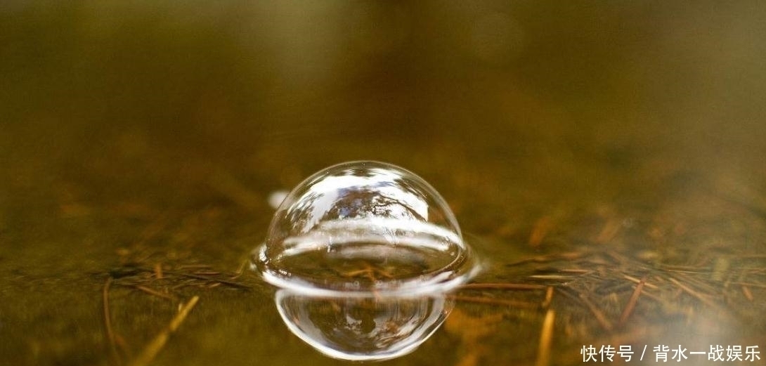 水面|打了好窝后,如何判断鱼进窝呢教你3招,最后那招太实在了