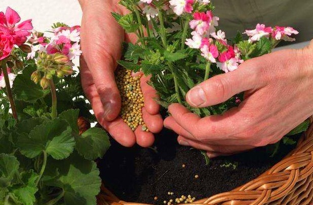 不想花钱买肥料教你1招,自己在家里堆肥,养花效果“1级棒”