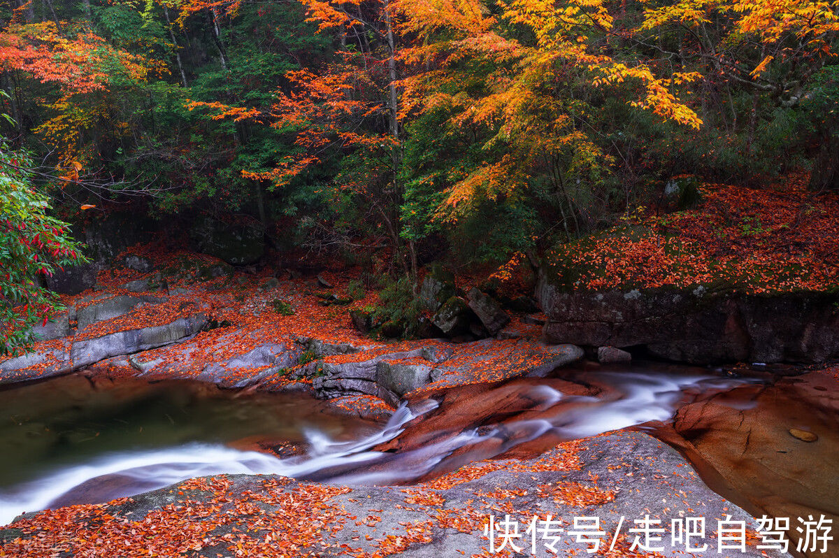 光雾山|10月这12个颜值高地，已补好了妆，将向世人“卖弄”最美一面