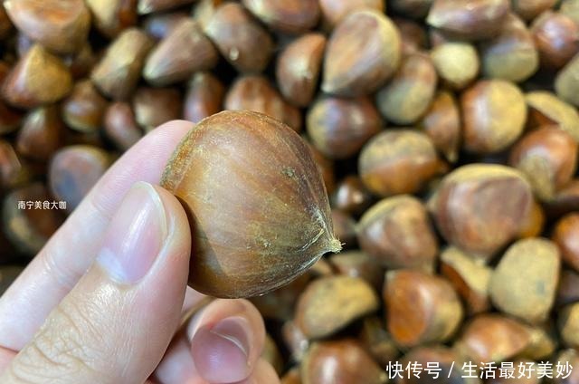  板栗|板栗买圆的还是扁的好教你4个挑选妙招，买到手的个个香甜粉糯