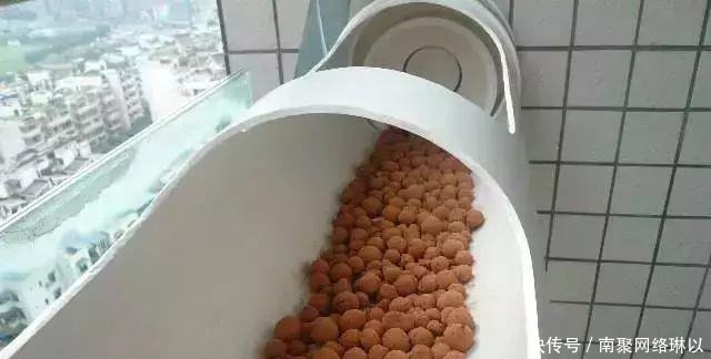 开槽|阳台别再晒衣服了,用一根水管,就能种出全家人吃的菜!