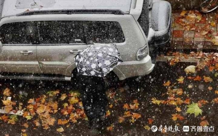 济南|济南初雪到！11月就下的这场雪真不小