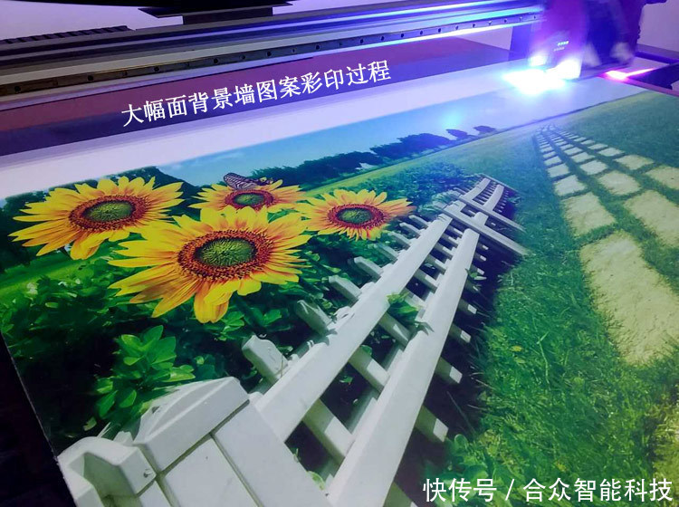 宁波彩印厂:引领印刷业潮流的新星