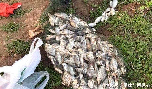 翻倍|野钓如何才能多钓几条鱼避免这些野钓的禁忌,收获能翻倍!