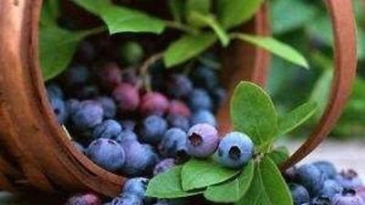 维e|老得慢的女人,都在“偷偷吃”的6种食物,润肤养颜,子宫更健康