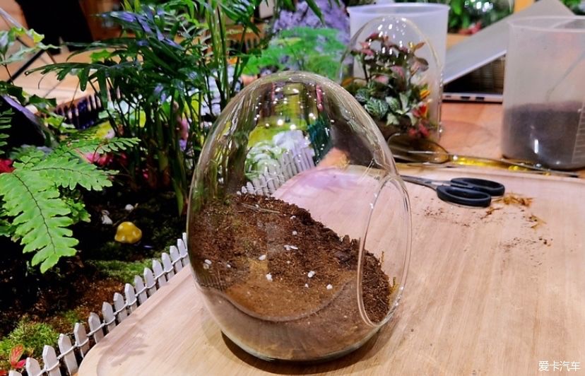 冬天的峨眉一个童话般的冰雪世界，真是美不胜收