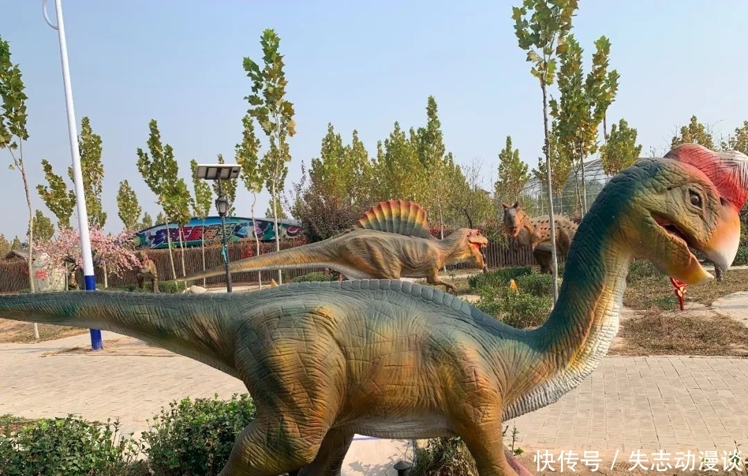 纳诺 家门口的乐园——固安来康郡阿派朗创造力乐园