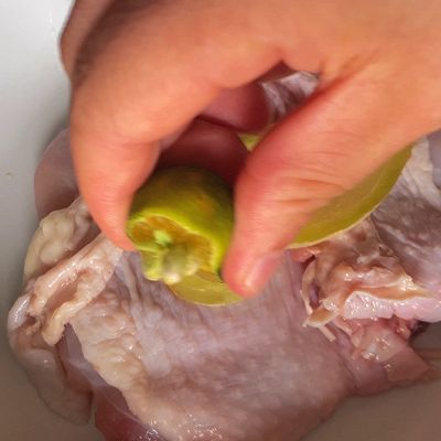 青桔|青桔鸡扒