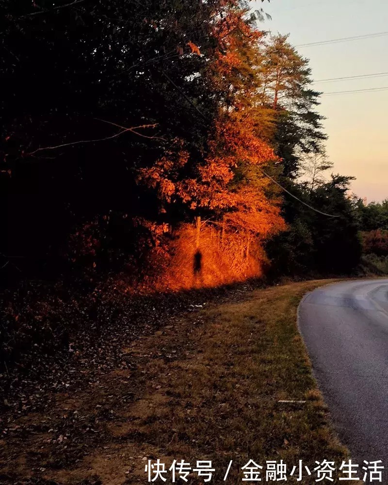  天生就闪耀着勇敢的微笑|骆一禾 | 闪耀着