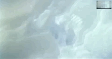 1988年,张国立在南极点燃炸药包,救南极科考团,荣获二等功