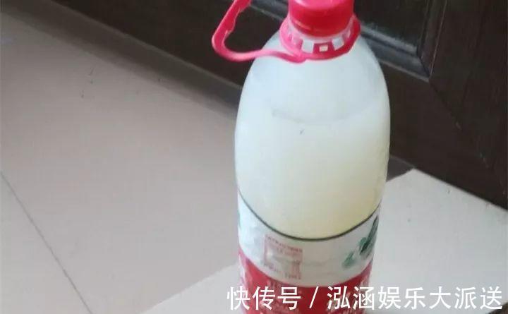 浇花|营养水家家都能做,不花一分钱,给花浇点就爆盆!