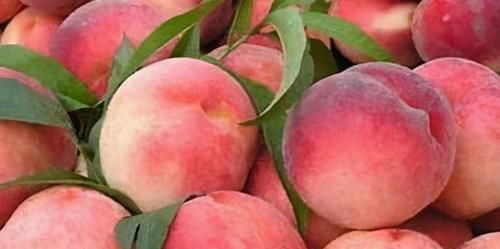 聰明的女性都愛吃3種食物，美容養顏，補血益氣，皮細膩有彈性