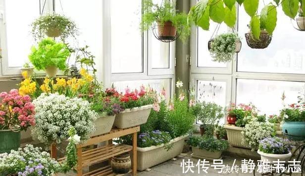 懂行的人冬天坚决不买三种花，冬天都不会买，白给也不要