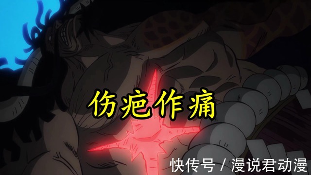 赤鞘九侠|海贼王996集:九侠人均御田流樱,无敌的凯多受伤,全面战争开始