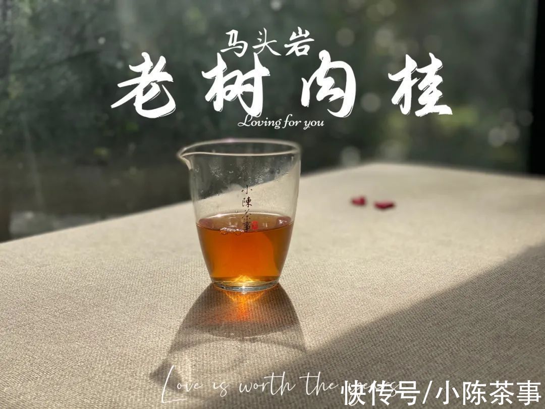 肉桂#从高仿泡袋，到“A货”岩茶，看武夷岩茶天价茶的“点石成金术”