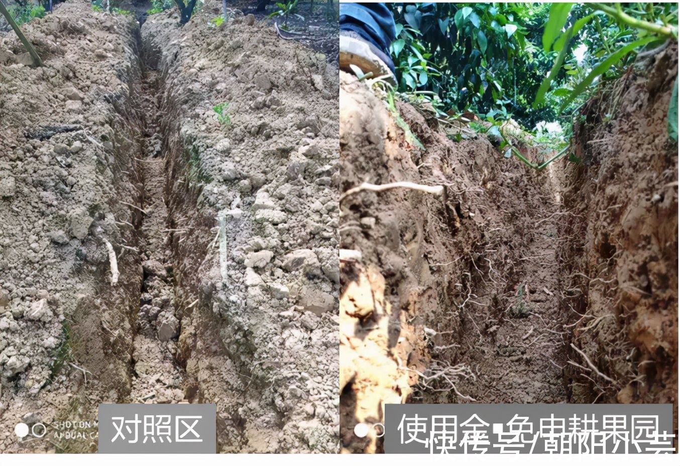 夢想改造家132萬紅磚房開始返堿！專家：只影響外觀，不影響質量