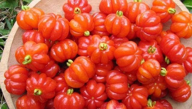 草莓|世界上最贵的水果,吃过3种以上的都是土豪啊