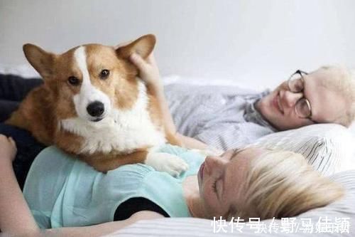 孕妇|孕妇帮着整理家务,却险些流掉宝宝,有些家务孕妈是万不能碰的