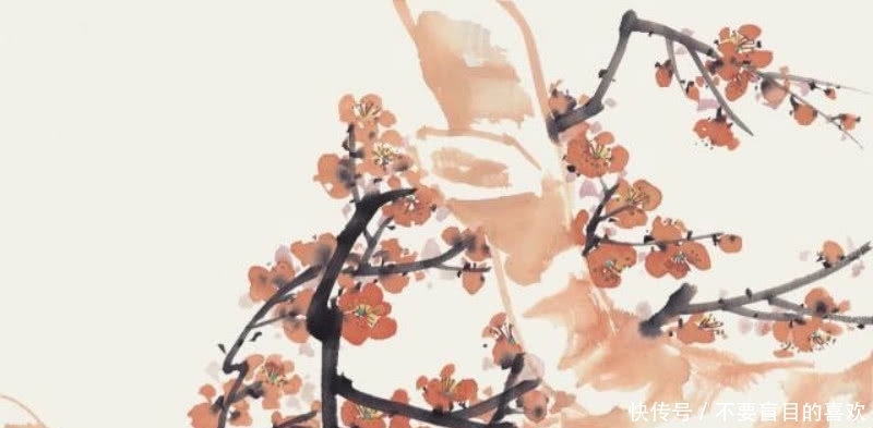 经典|杜甫的这首《江梅》,也是不应该被忽略,写出了最深情的梅花!