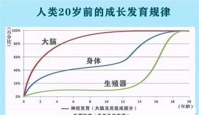 孩子|哈佛大学研究发现:孩子在成长中有3次变聪明的机会,家长要抓住