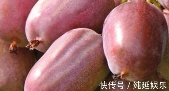 衰老|女性过了45,衰老加快,要多吃此物,益气补血,皮肤白泽透亮