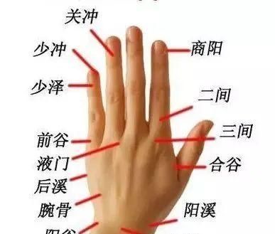 病变|人体自带大药房！这个部位，只需轻轻捏一捏，就能调理全身疾病！