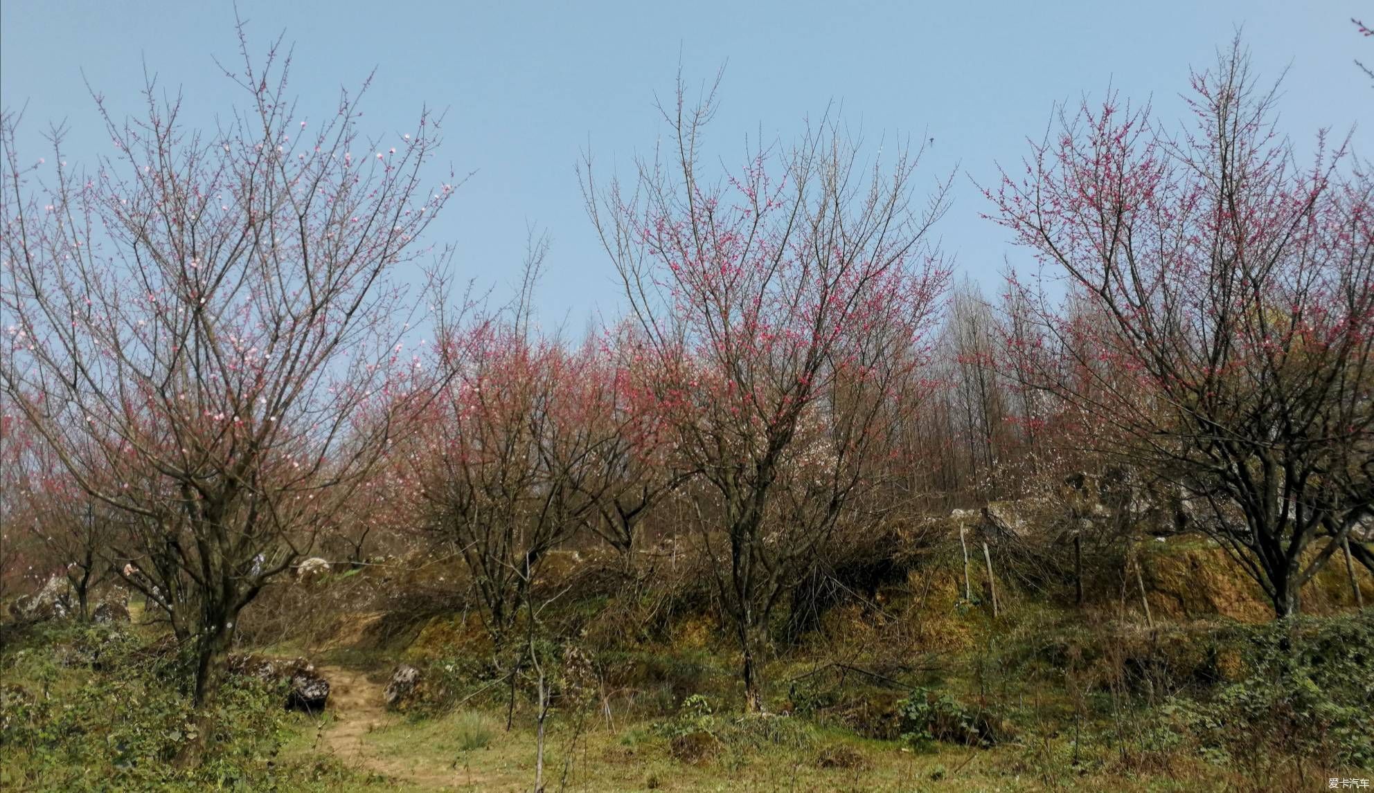 重游大坪山