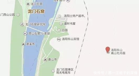 【满城花开，只待君来】洛阳牡丹花开已成海，你来吗？