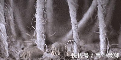 超声波|床上螨虫超级多生物专家不是风油精,不到一毛钱,螨虫死光光