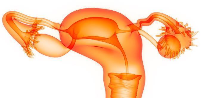 高血脂|越来越多女人提前更年期，医生直言：3个原因是祸首，女性要警惕