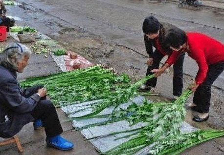 蚊子就怕“它”，洗净晒干放卧室里，不用挂蚊帐，也能睡安稳觉