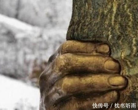孤独|世界上最“孤独”的手,紧握树干半个世纪从未松开,原因让人感叹